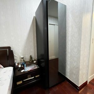 Alternative view of Máy giặt hấp sấy LG Styler SC5GMR8GH [NEW 2026 - NỘI ĐỊA CAO CẤP]