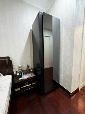 Alternative view of Máy giặt hấp sấy LG Styler SC5GMR8GH [BẢN NỘI ĐỊA]